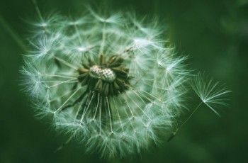Ciclo de vida do consumidor