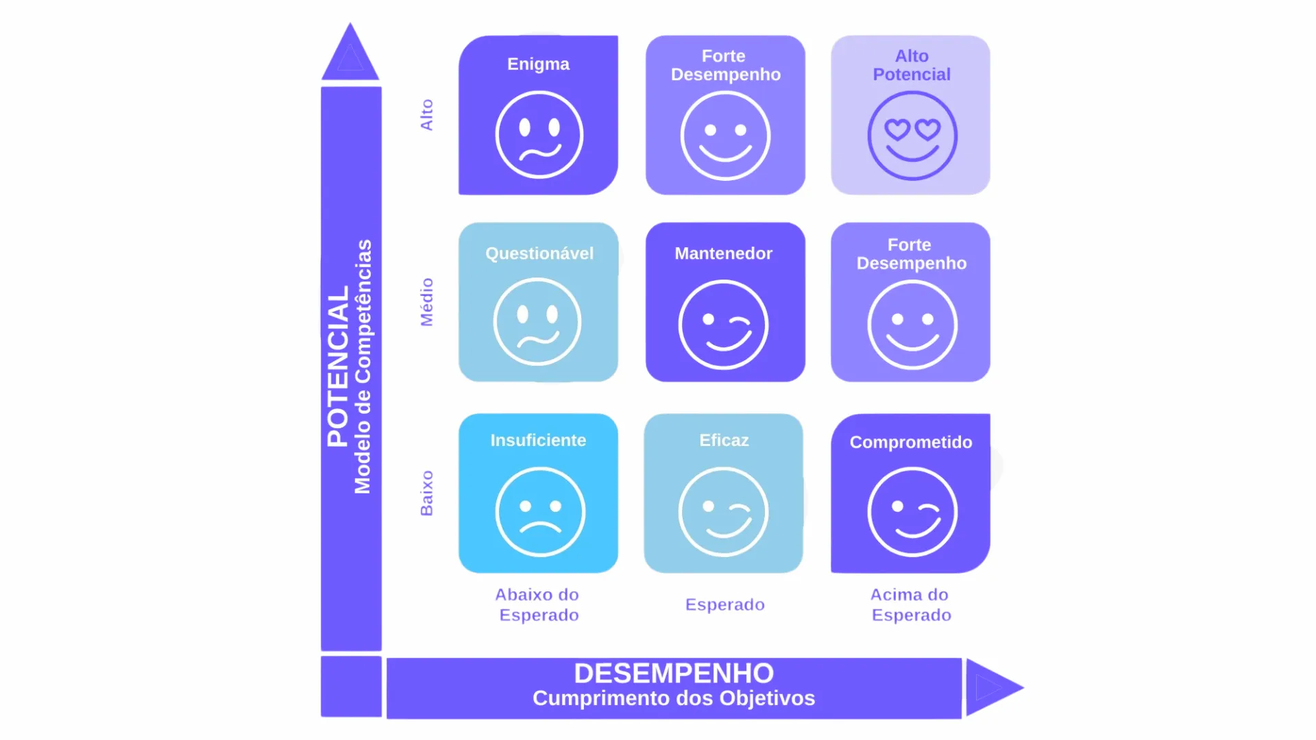 Matriz 9 Box